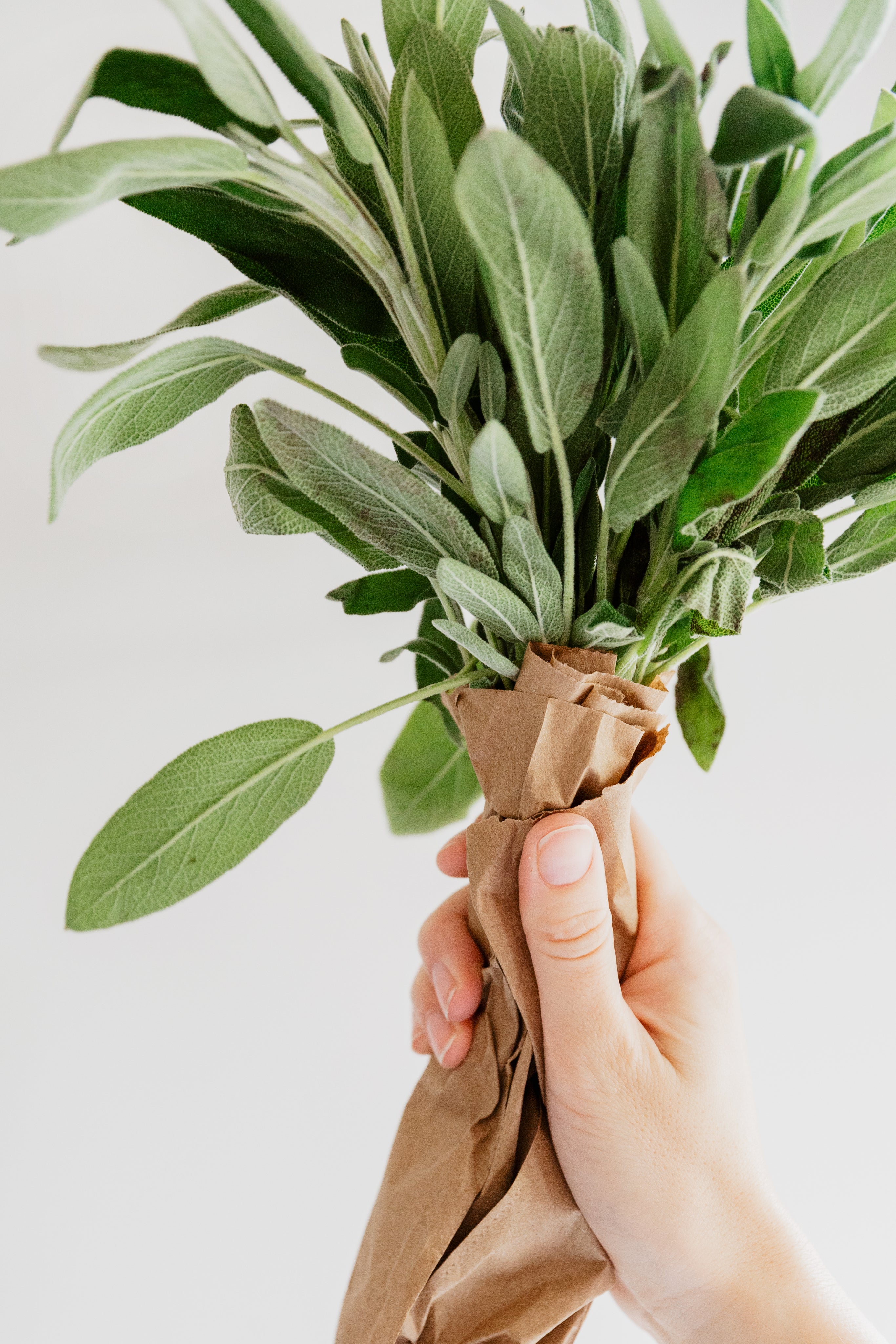 Salie extract tandpasta